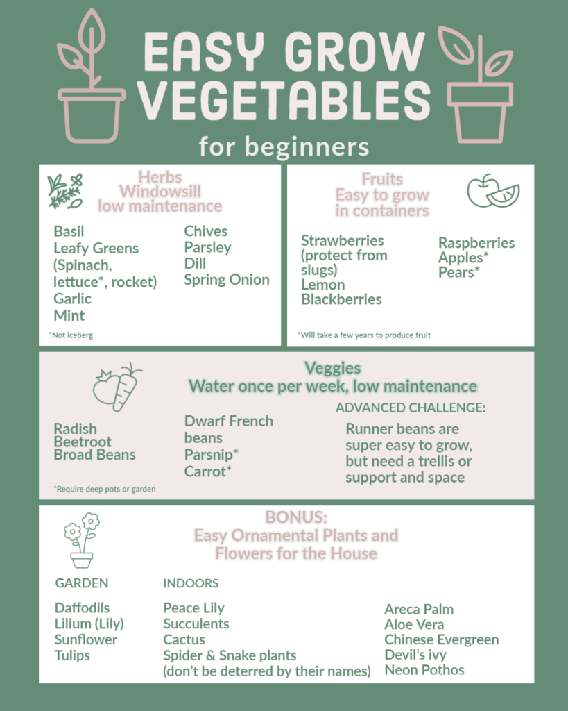 Ideas of easy vegetables to grow at home