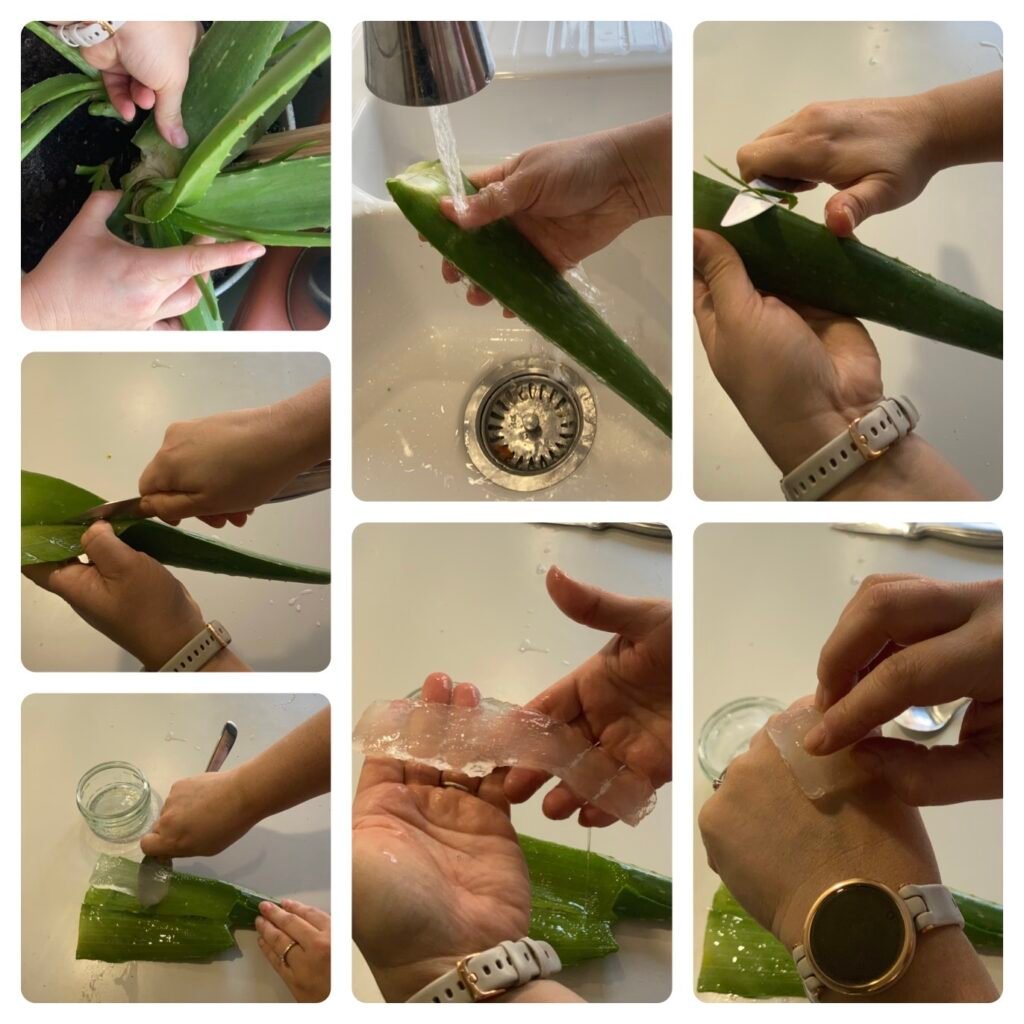 aloe vera leaves, washing leaves, cutting leaves, peeling the gel and applying in burn